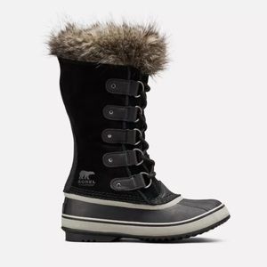 Sleek Joan of Arctic boots
